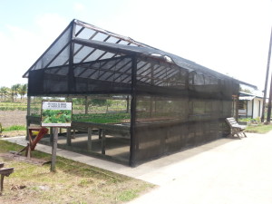 The Hydroponics Facility of Crop Farm 2