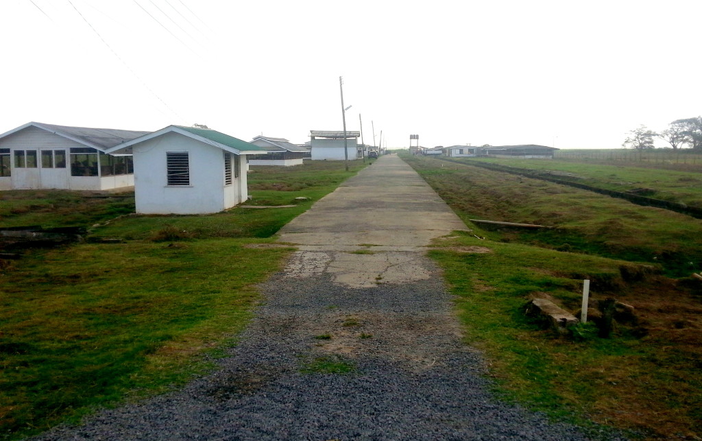 Entrance to the Livestock Farm of the Guyana School of Agriculture